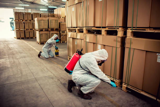 Best Affordable Pest Control Services  in Fort Valley, GA