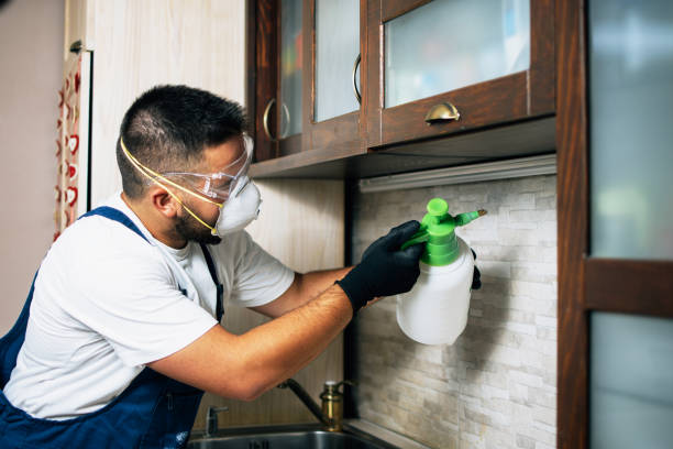 Best Rat Extermination Near Me  in Fort Valley, GA
