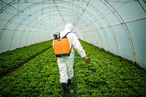 Best Pest Inspection Near Me  in Fort Valley, GA