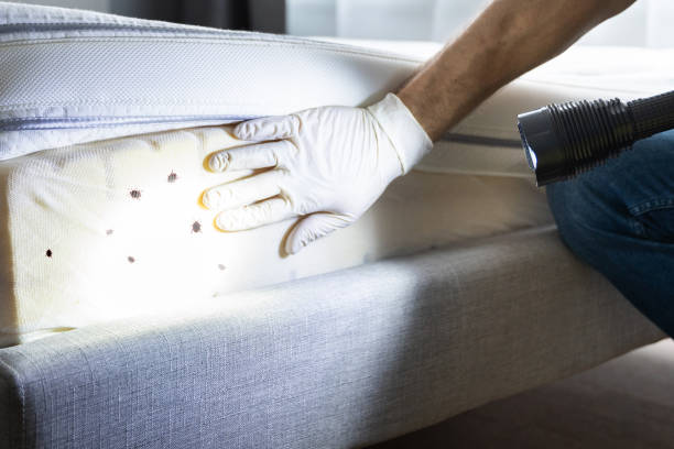 Best Exterminator Services  in Fort Valley, GA