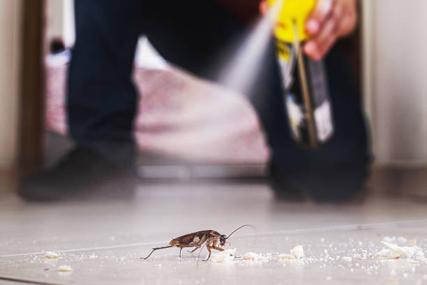 Best Spider Control Near Me  in Fort Valley, GA