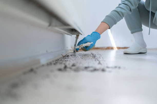 Best Pest Removal Services  in Fort Valley, GA